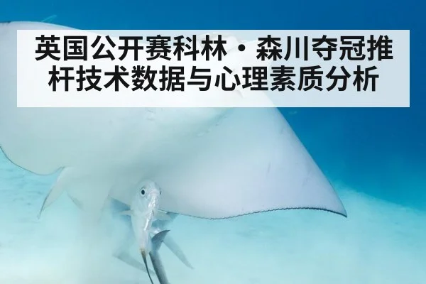 英国公开赛科林·森川夺冠推杆技术数据与心理素质分析