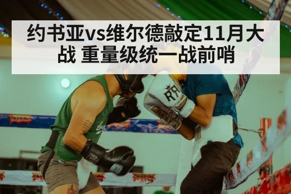 约书亚vs维尔德敲定11月大战 重量级统一战前哨
